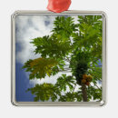 Suche nach polynesien ornamente Wolke