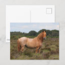 Recherche de forestier cartes postales Nouveau poney forestier