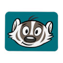 Recherche de raton laveur magnets Forêt en bois verte