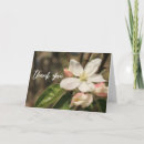 Recherche de de pomme photographie Pour tous