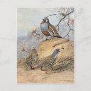 Recherche de paintings cartes postales Antique