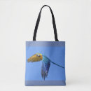 Recherche de bec sacs Tropical