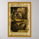 Suche nach vintage muscheln poster Illustration