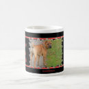 Recherche de race classiques tasses Races de chien