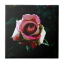 Suche nach painting fliesen Floral