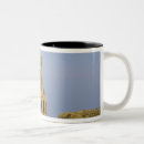 Recherche de abbaye tasses Religieux