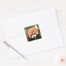 Suche nach roter panda aufkleber Pandas
