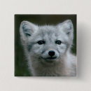 Suche nach kleiner fuchs buttons Natur