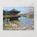 Suche nach cherry blossom postkarten Sakura