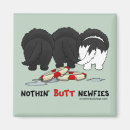 Recherche de chien terre neuve magnets Chiens
