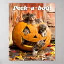 Suche nach jackolantern kunst Niedlich