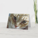 Recherche de tigre blanc vœux cartes Animaux