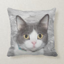 Recherche de smoking coussins Minou
