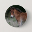 Recherche de poneys badges Poulain