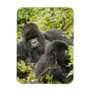 Suche nach vulkane magnete Ruanda