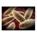 Recherche de motilité Protozoaire