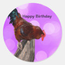 Suche nach hahns aufkleber Vogelvogel