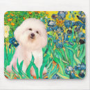 Suche nach bichons mousepads Bichon friseur