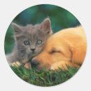 Recherche de domestiqué autocollants Dog