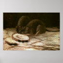 Recherche de rattie art Nature