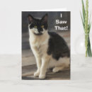 Suche nach katzen danken ihnen karten Tierarzt