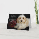 Recherche de animal christmas vœux cartes Horizontal