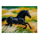 Suche nach schwarzes pferd poster Reitkunst