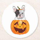 Suche nach frenchie untersetzer Welpe