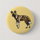 Suche nach afrika buttons Savanne