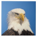 Suche nach profil fliesen Hausfrau