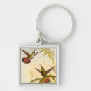Recherche de colibris porteclés Oiseau