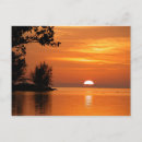 Suche nach florida key west postkarten Tropisch