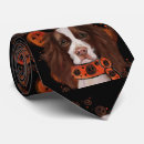 Recherche de springer spaniel cravates Spaniels