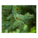 Recherche de pin posters Extérieur