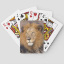 Recherche de comportement jeux de cartes Animal