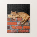 Recherche de mur de briques puzzles Animal