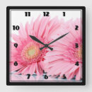 Recherche de gerbera rose horloges Floral
