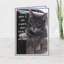 Suche nach faule katzen karten Lustige katze