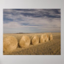 Suche nach saskatchewan poster Canada