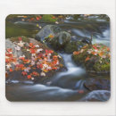 Suche nach ahorn blätter mousepads Fall