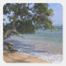 Suche nach stewart aufkleber Insel