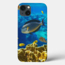 Suche nach fische samsung hüllen Natur