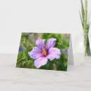 Suche nach florentiner karten Blumenreich