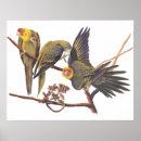 Suche nach parkett poster Natur