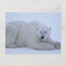 Recherche de jour neige cartes postales Canada