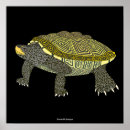 Suche nach schwarze schildkröte poster Tier