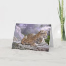 Suche nach jaguar karten Katze