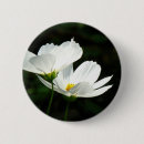Suche nach kosmos buttons Natur