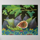Recherche de figues posters Fruits