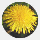 Suche nach reizend aufkleber Blumen
